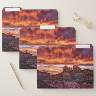 Pink Morning Glory File Folder