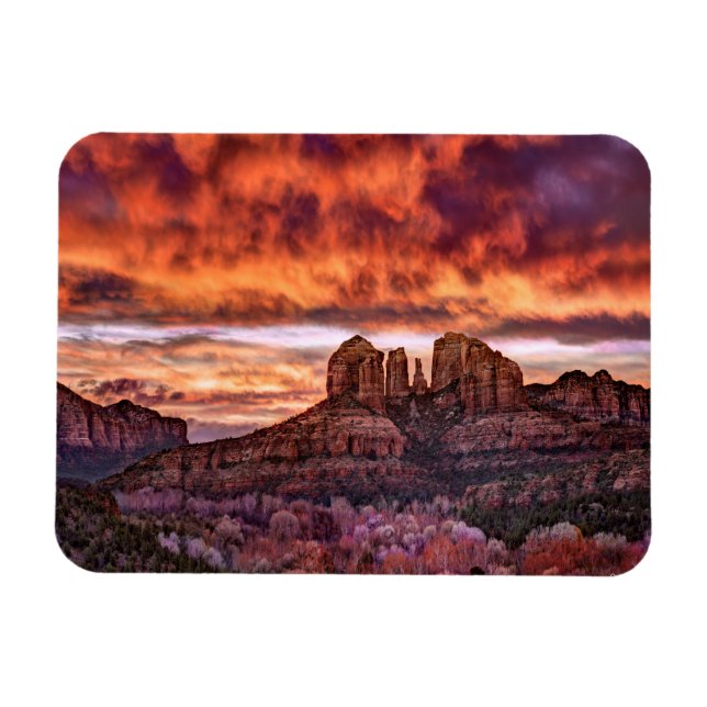 Pink Morning Glory Magnet (Horizontal)