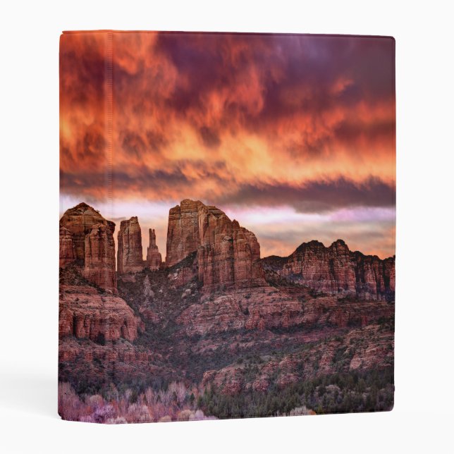 Pink Morning Glory Mini Binder (Front/Spine)