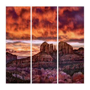 Pink Morning Glory Triptych