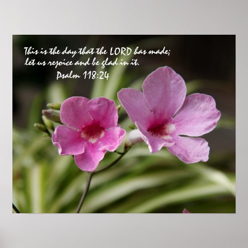 Pink Morning Glory w Verse from Psalm 11824 Poster