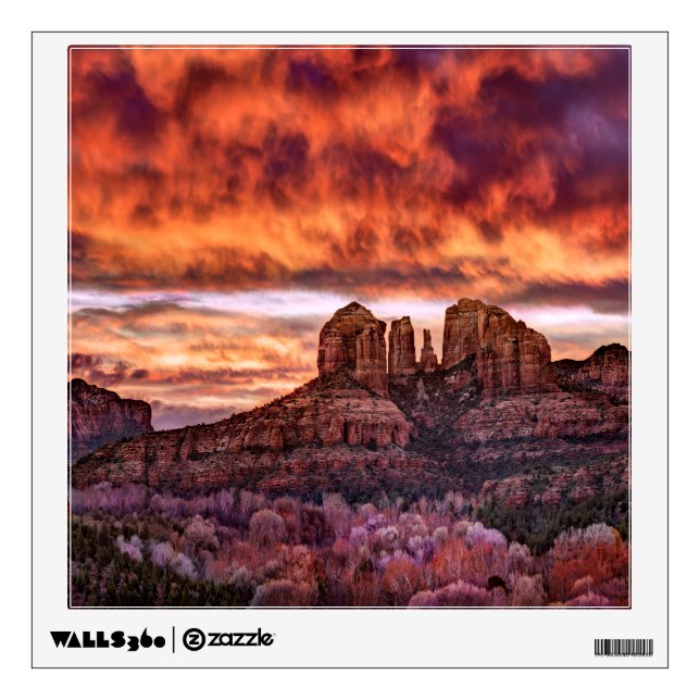 Pink Morning Glory Wall Decal (Front)