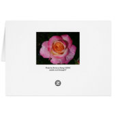 Pink morning rose (Back Horizontal)