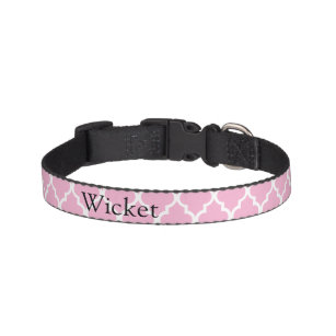 cute personalized dog collars