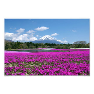Pink moss and Mt. Fuji in the background Photo Print