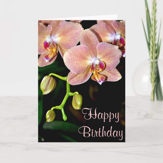 Pink moth orchids birthday greeting card (Front)