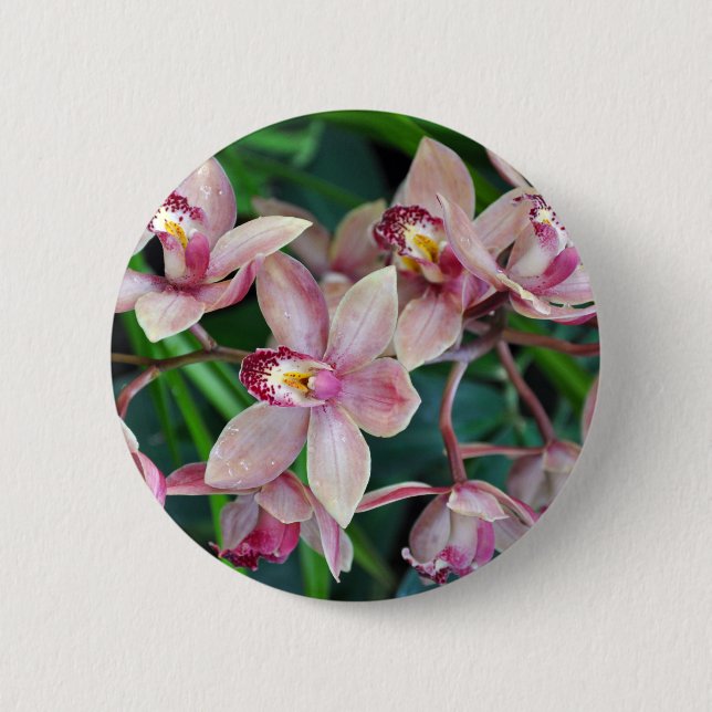 Pink moth orchids button (Front)