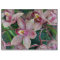 Pink moth orchids