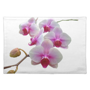 Pink Moth Orchids - Phalaenopsis Cloth Placemat