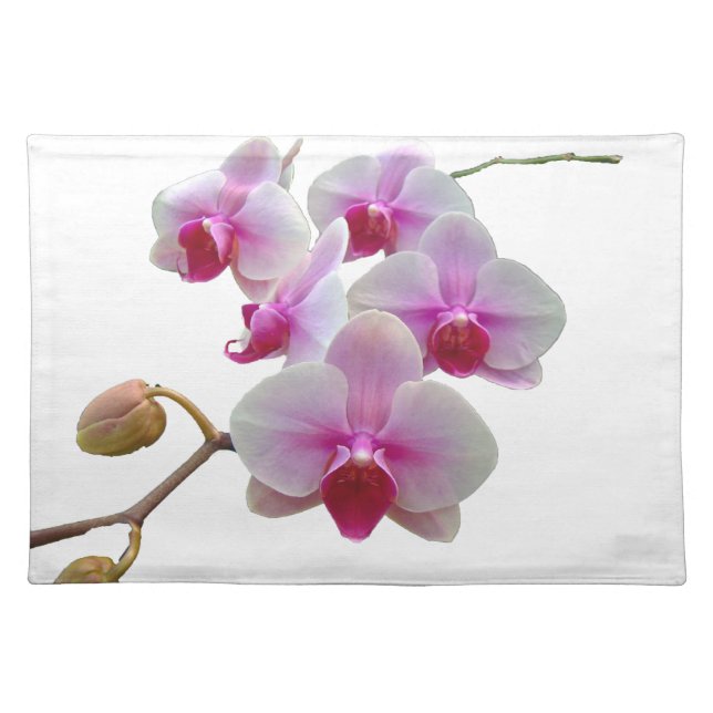 Pink Moth Orchids - Phalaenopsis Cloth Placemat (Front)