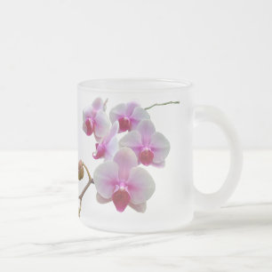 Pink Moth Orchids - Phalaenopsis Frosted Glass Coffee Mug