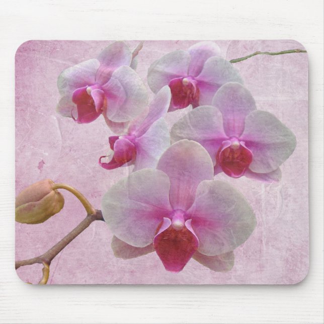 Pink Moth Orchids - Phalaenopsis Mouse Pad (Front)