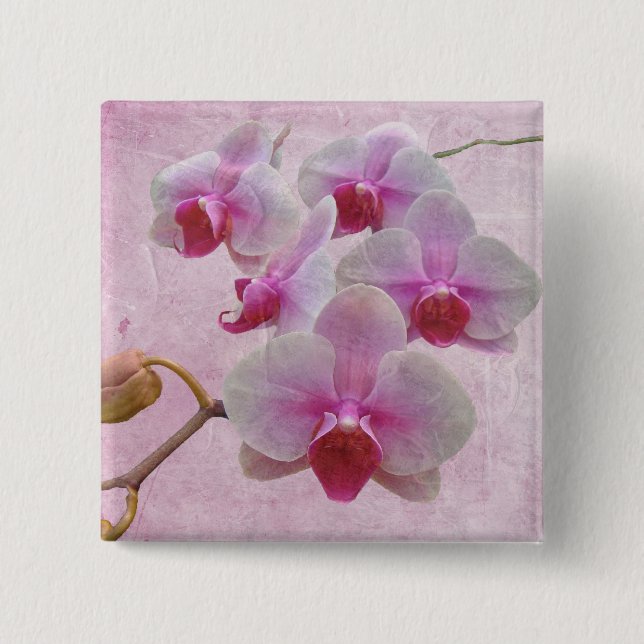 Pink Moth Orchids - Phalaenopsis Pinback Button (Front)