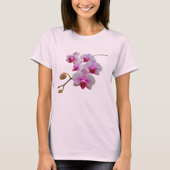 Pink Moth Orchids - Phalaenopsis T-Shirt (Front)