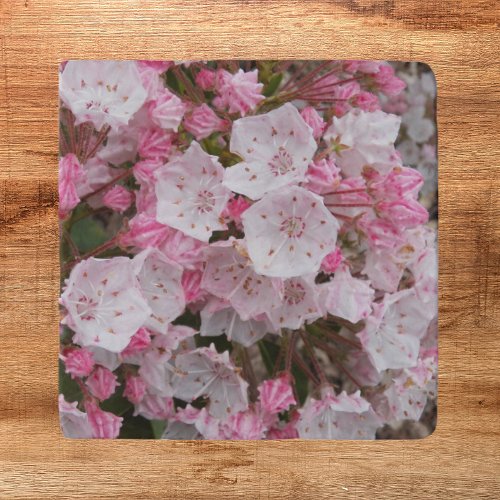 Pink Mountain Laurel Floral Trivet