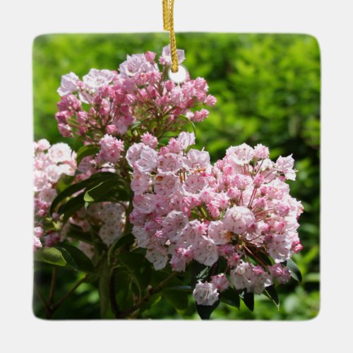 Pink Mountain Laurel Flowers Ceramic Ornament