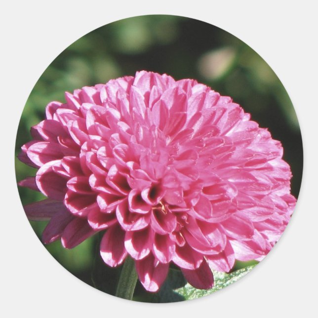 Pink Mum Classic Round Sticker (Front)