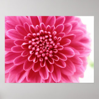 Pink Mum Poster