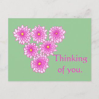 Pink Mums Flowers Thinking of you Postcards