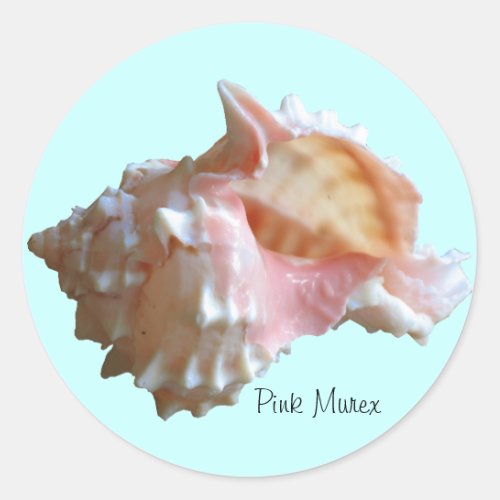 Pink Murex Seashell Classic Round Sticker