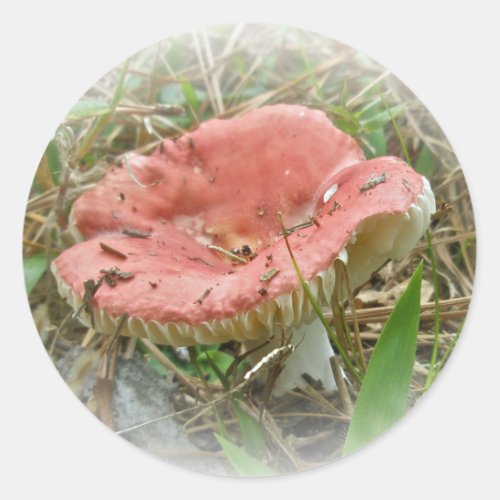 Pink Mushroom Coordinated Items Classic Round Sticker