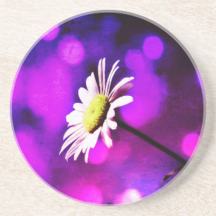 Pink N Amethyst Daisy Drink Coaster