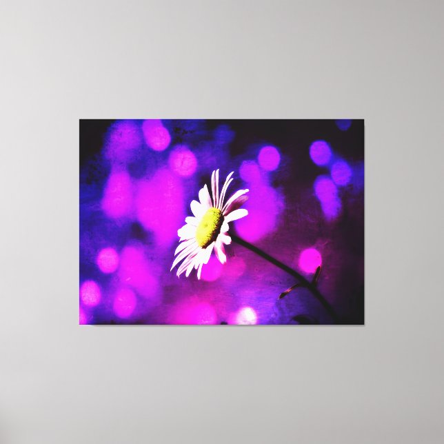 Pink N Amethyst Daisy Wrapped Canvas Print (Front)