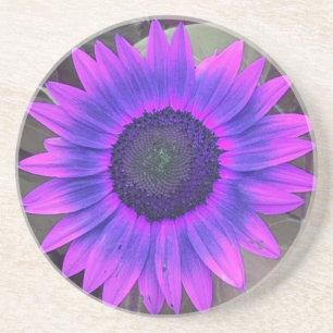 Pink N Purple Sunflower coaster