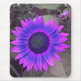 Pink N purple Sunflower mouse pad