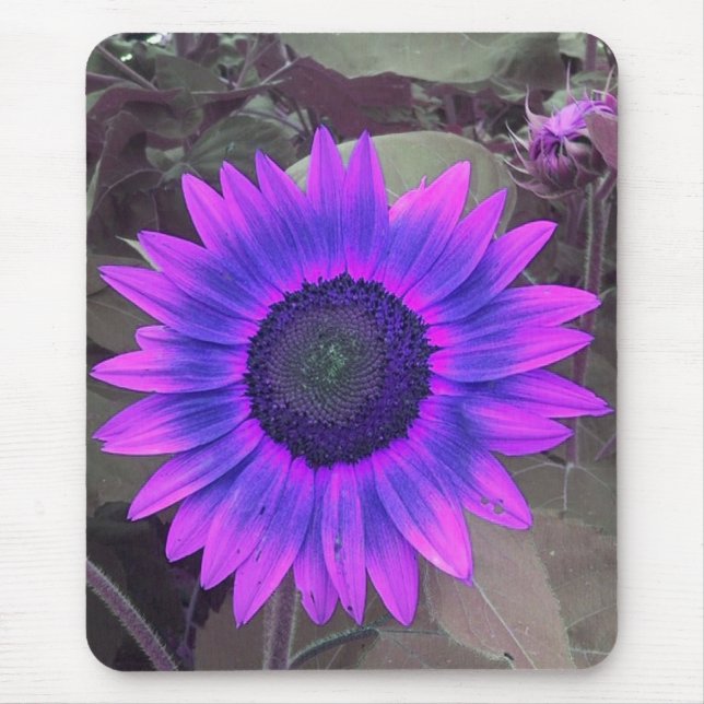 Pink N purple Sunflower mouse pad (Front)