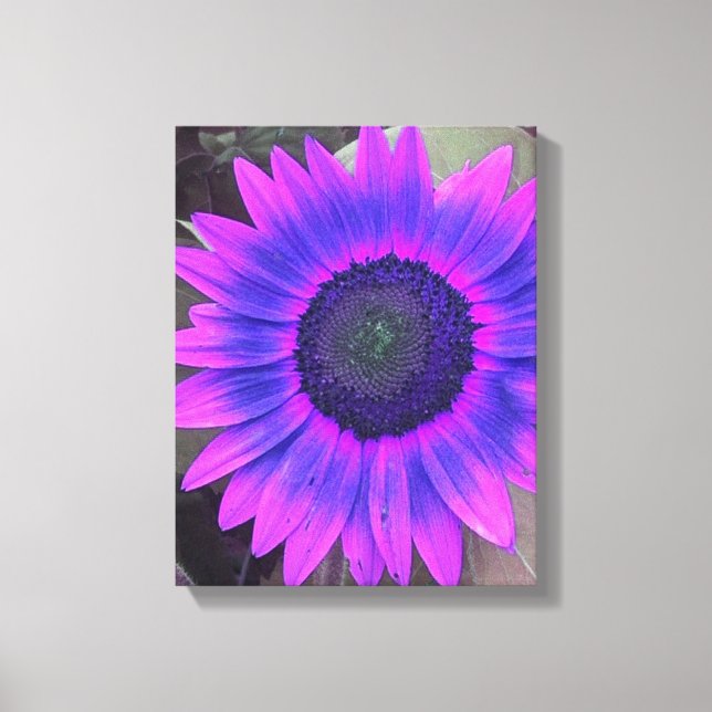 Pink N Purple Sunflower Wrapped Canvas Print (Front)