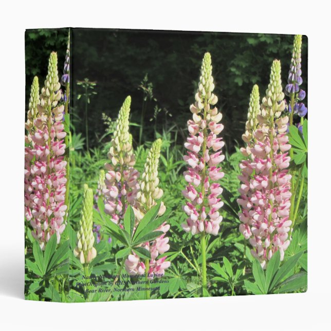Pink Native Northern Minnesota Lupine 3 Ring Binder (Front/Spine)