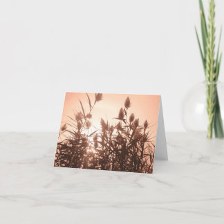 Pink Nature notecard