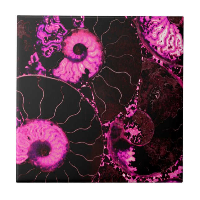 Pink Nautilus fossil shell pattern  Ceramic Tile (Front)