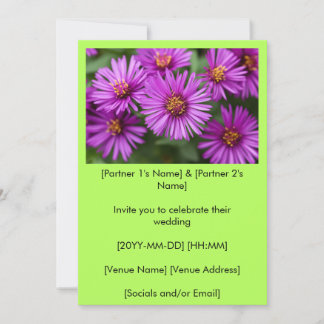 Pink New England Asters Wedding Invitation