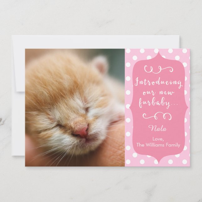 Pink New Furbaby Announcement (Front)