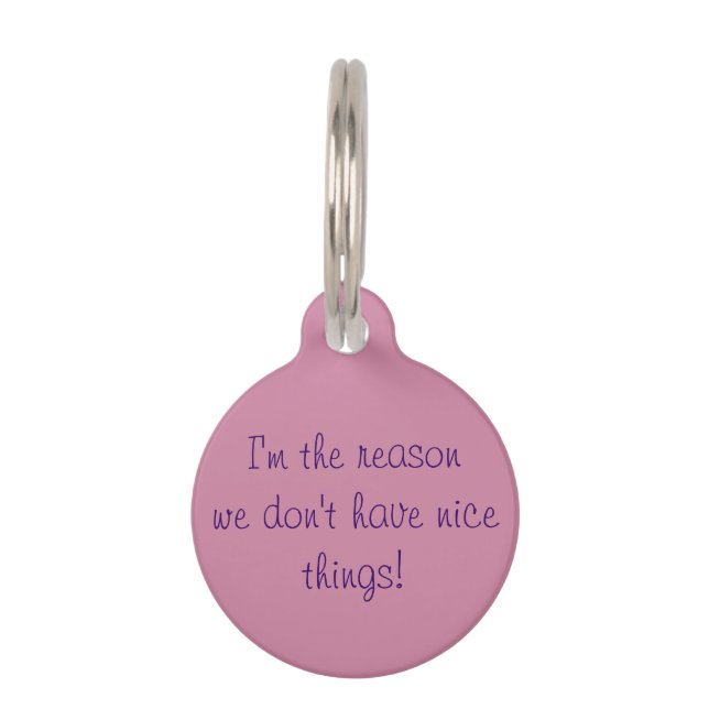Pink "Nice Things" Pet Name Tag (Back)