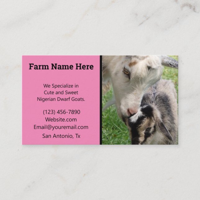 Pink Nigerian Dwarf Goat Breeder Business Card (Front)