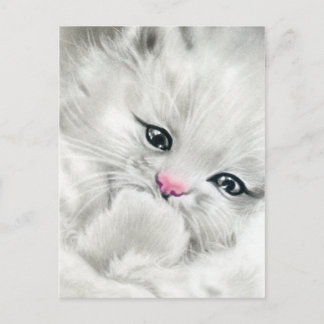 pink nose white fluffy kitty postcard
