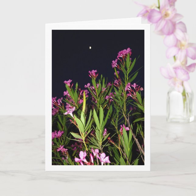 Pink Oleander at Night Card (Orchid)