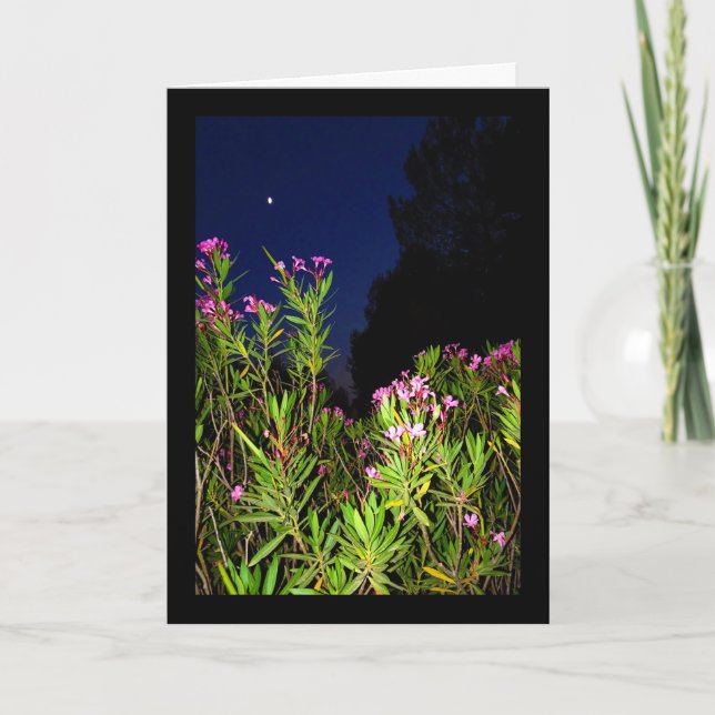 Pink Oleander at Night Card (Front)