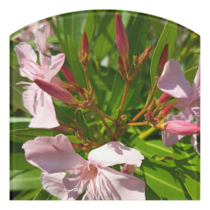 Pink Oleander Floral Door Sign Botanical Garden Ho