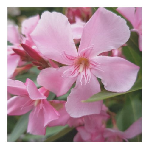 Pink Oleander Flower Canvas Art | Elegant Botanica