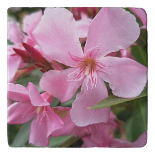 Pink Oleander Flower Trivet | Elegant Botanical Ki