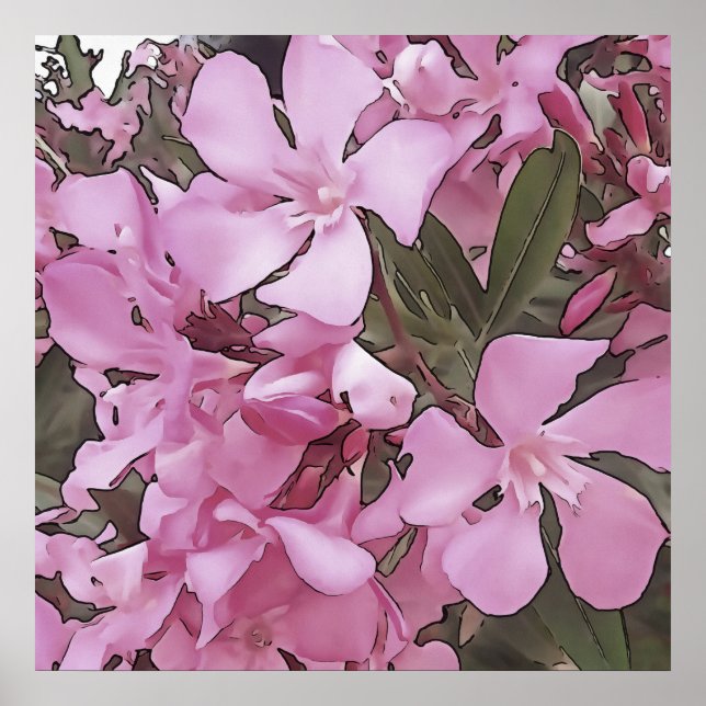 Pink Oleander Rose Laurel Black Outline Art Poster (Front)