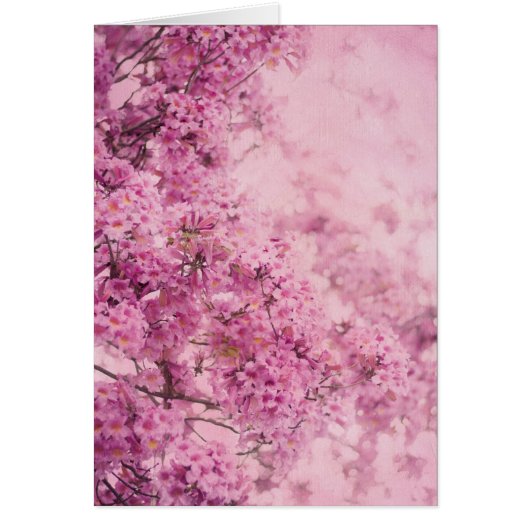 Pink On Pink Cards (Front)