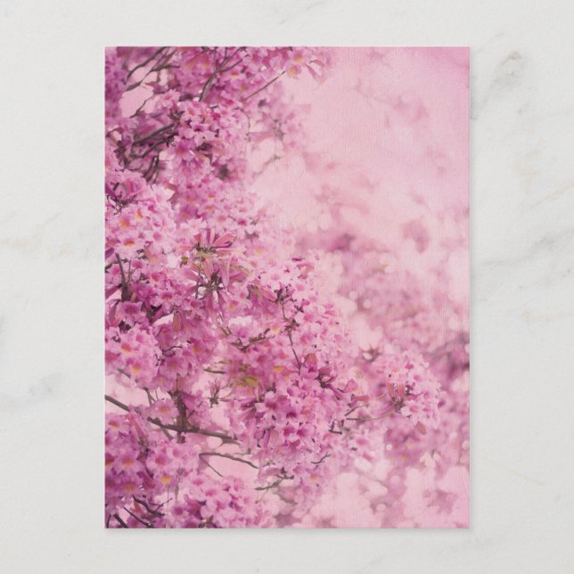 Pink On Pink Postcard (Front)