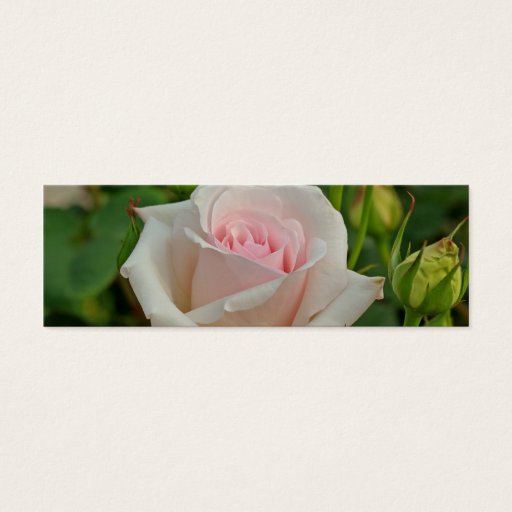 Customizable Pink Ophelia Hybrid Rose Business Card