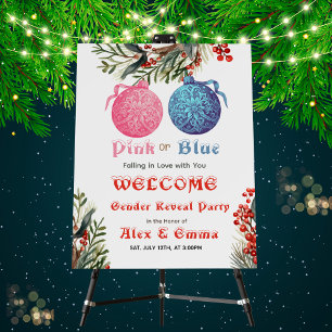 Pink or Blue Winter Gender Reveal Party Welcome Foam Board