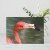 Pink-Orange Flamingo Head (Standing Front)
